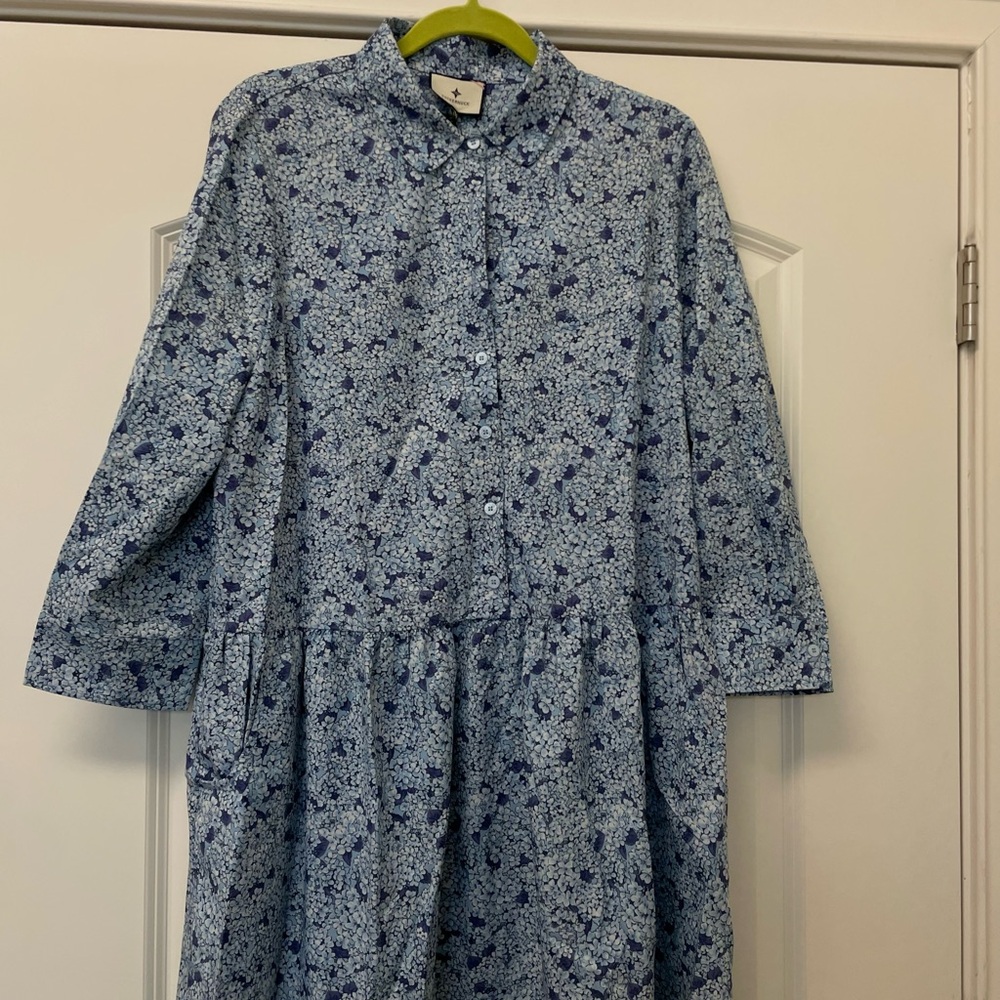 Tuckernuck Blue Floral Dress